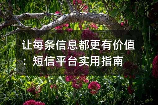 让每条信息都更有价值:短信平台实用指南