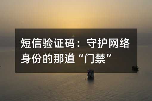短信验证码:守护网络身份的那道“门禁”
