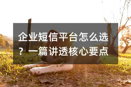 企业短信平台怎么选?一篇讲透核心要点