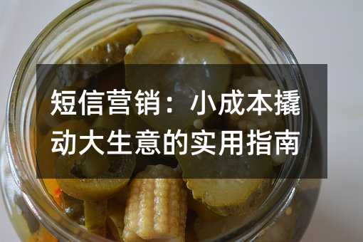 企业短信服务:从价格迷雾到实用指南
