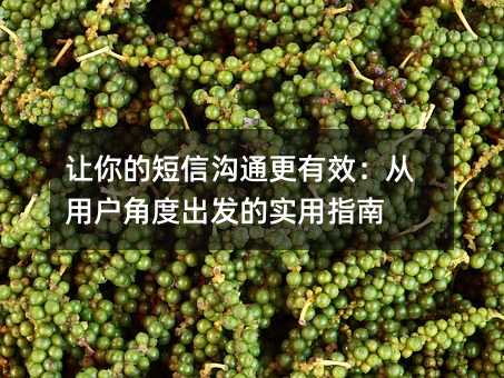 让你的短信沟通更有效:从用户角度出发的实用指南