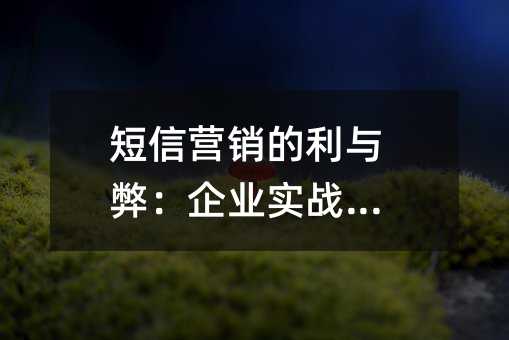 短信营销的利与弊:企业实战指南