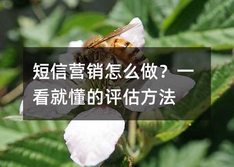 短信营销怎么做?一看就懂的评估方法