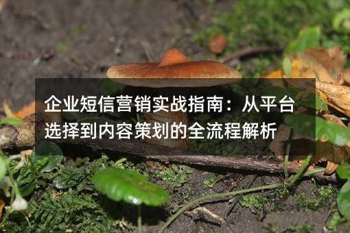 企业短信营销实战指南:从平台选择到内容策划的全流程解析
