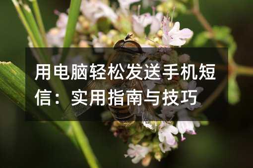 用电脑轻松发送手机短信:实用指南与技巧