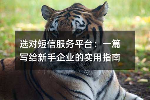 选对短信服务平台:一篇写给新手企业的实用指南