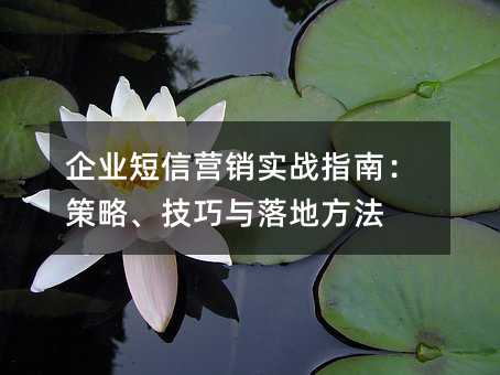 企业短信营销实战指南:策略、技巧与落地方法