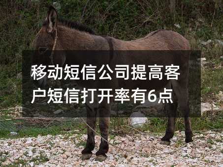 移动短信公司提高客户短信打开率有6点