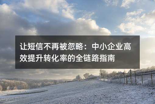 让短信不再被忽略:中小企业高效提升转化率的全链路指南