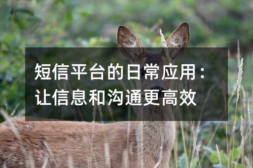 短信平台的日常应用:让信息和沟通更高效