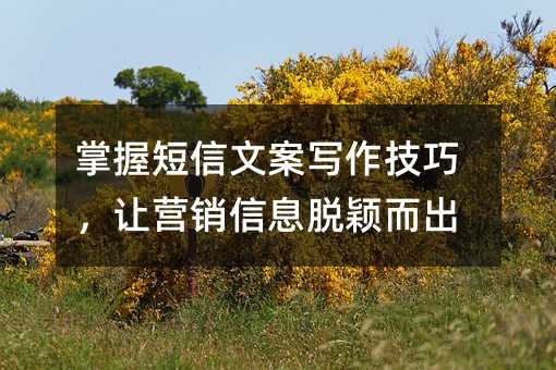 掌握短信文案写作技巧,让营销信息脱颖而出