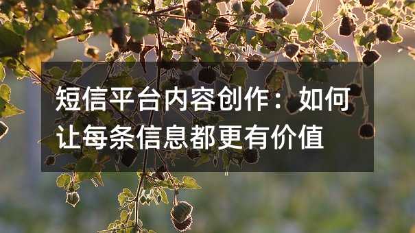 短信平台内容创作:如何让每条信息都更有价值