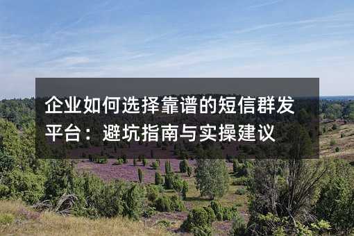 企业如何选择靠谱的短信群发平台:避坑指南与实操建议