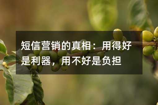 ����Ӫ�������ࣺ�õú����������ò����Ǹ���
