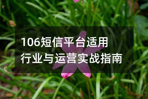106����ƽ̨������ҵ����Ӫʵսָ��