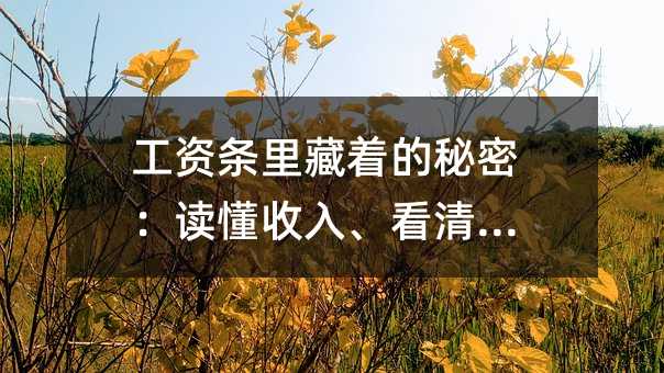 ����������ŵ����ܣ��������롢���屣��