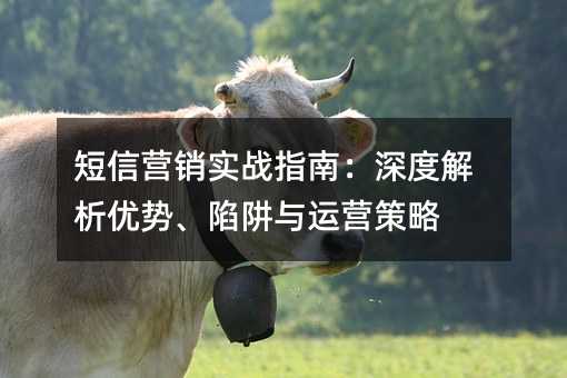 ����Ӫ��ʵսָ�ϣ���Ƚ������ơ���������Ӫ����