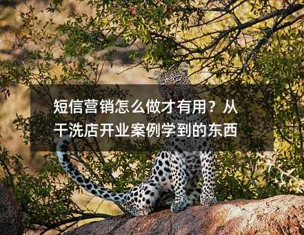 ����Ӫ����ô�������ã��Ӹ�ϴ�꿪ҵ����ѧ���Ķ���