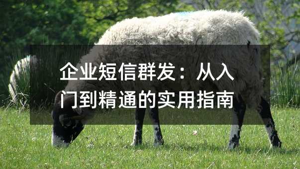 ��ҵ����Ⱥ���������ŵ���ͨ��ʵ��ָ��