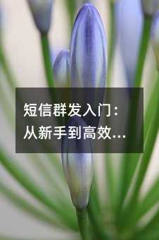 ����Ⱥ�����ţ������ֵ���Ч��ͨ��ʵ��ָ��