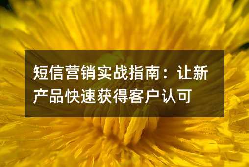 ����Ӫ��ʵսָ�ϣ����²�Ʒ���ٻ�ÿͻ��Ͽ�