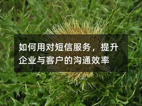 如何用对短信服务,提升企业与客户的沟通效率