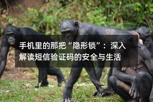 手机里的那把“隐形锁”:深入解读短信验证码的安全与生活