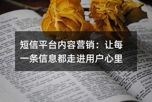 短信平台内容营销:让每一条信息都走进用户心里