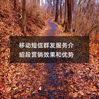 移动短信群发服务介绍段营销效果和优势