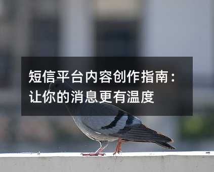 短信平台内容创作指南:让你的消息更有温度