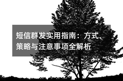 短信群发实用指南:方式、策略与注意事项全解析