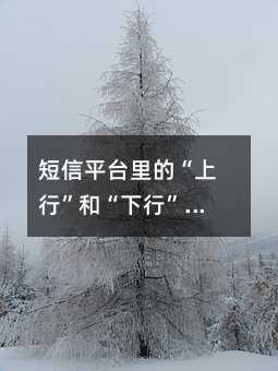 ����ƽ̨��ġ����С��͡����С���������˵ʲô��