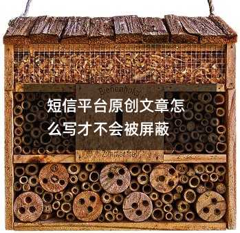 短信平台原创文章怎么写才不会被屏蔽