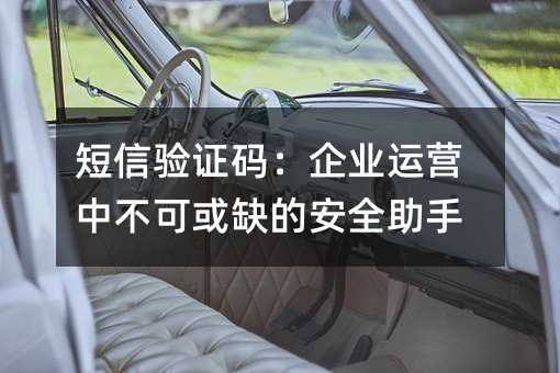 ������֤�룺��ҵ��Ӫ�в��ɻ�ȱ�İ�ȫ����