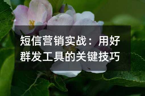 短信营销实战:用好群发工具的关键技巧