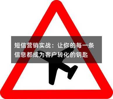 短信营销实战:让你的每一条信息都成为客户转化的钥匙