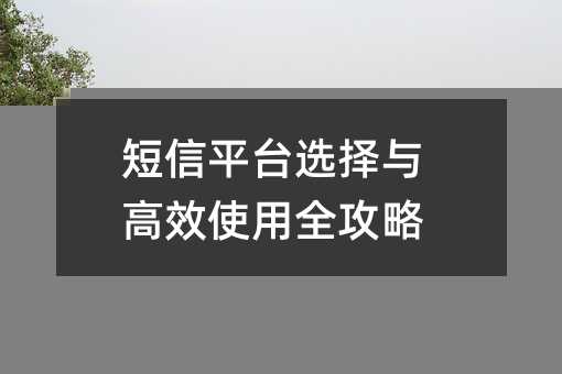 短信平台选择与高效使用全攻略