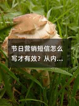 节日营销短信怎么写才有效?从内容到技巧的全方位指南