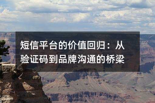 短信平台的价值回归:从验证码到品牌沟通的桥梁