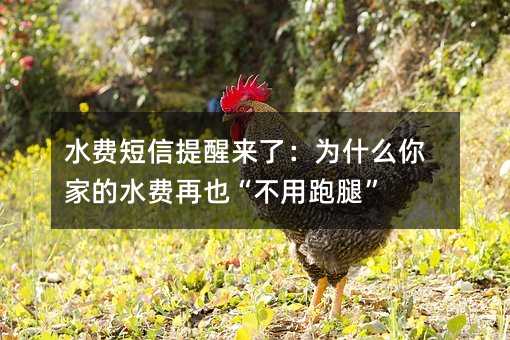 水费短信提醒来了:为什么你家的水费再也“不用跑腿”