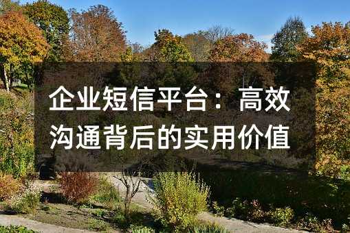 企业短信平台:高效沟通背后的实用价值