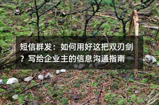 短信群发:如何用好这把双刃剑?写给企业主的信息沟通指南