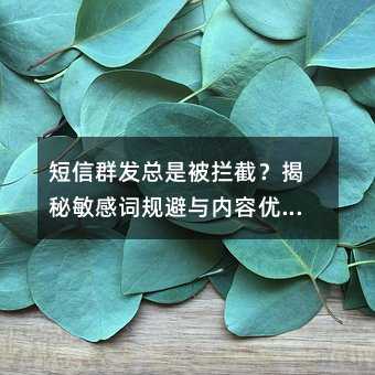 ����Ⱥ�����Ǳ����أ��������дʹ���������Ż�ȫ����