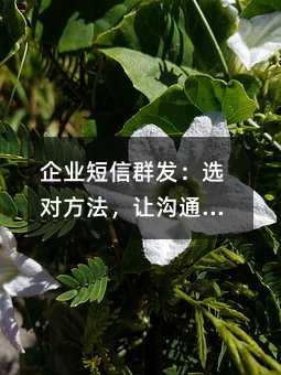 企业短信群发:选对方法,让沟通事半功倍