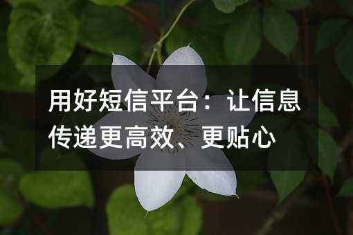 用好短信平台:让信息传递更高效、更贴心