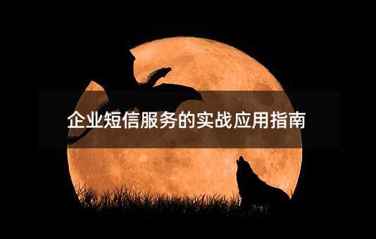 企业短信服务的实战应用指南