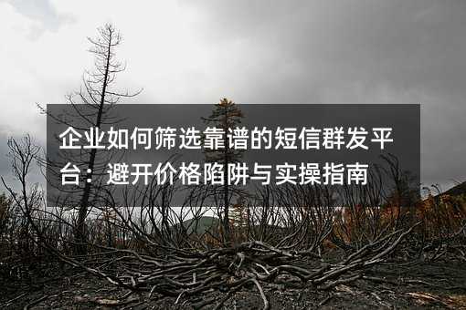 企业如何筛选靠谱的短信群发平台:避开价格陷阱与实操指南