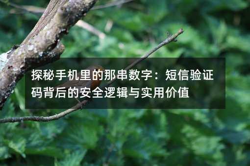 探秘手机里的那串数字:短信验证码背后的安全逻辑与实用价值