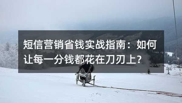 短信营销省钱实战指南:如何让每一分钱都花在刀刃上?