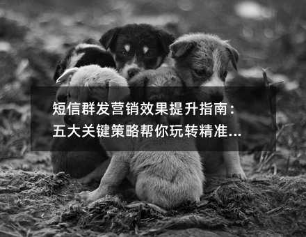 短信群发营销效果提升指南:五大关键策略帮你玩转精准营销